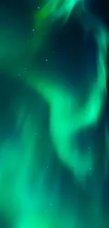 Emerald green aurora borealis in a night sky.