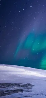 Aurora Borealis illuminating the night sky over a snowy landscape.