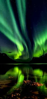 Vivid green aurora lights over a starry night sky and reflective water.