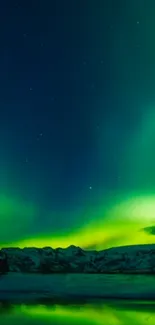 Stunning mobile wallpaper featuring the northern lights in a green night sky.