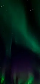 Aurora Borealis with vivid green and purple hues illuminates the night sky.