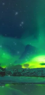 Mobile wallpaper of aurora borealis with a green night sky.