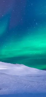 Stunning view of Aurora Borealis illuminating a snowy Arctic landscape under a starry sky.