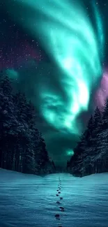 Aurora borealis over snowy forest at night, vibrant hues in starry sky.