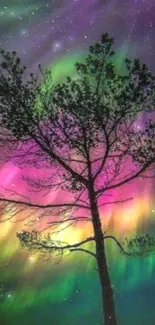 Tree silhouette against vibrant northern lights in a starry sky.