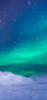 Aurora Borealis over snow with stars in night sky.