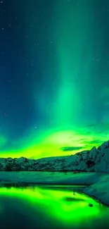 Vibrant Aurora Borealis lights over snowy landscape at night.