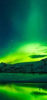 Vivid green aurora borealis over a snowy landscape under a starry night sky.