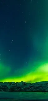 Stunning aurora borealis displayed in a night sky with green hues and starry background.