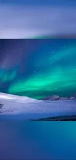 Aurora Borealis over snowy landscape under a starry night sky.