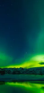 Aurora Borealis in vivid green over a starry Arctic night sky.