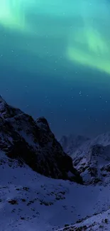 Aurora Borealis over snowy mountain range at night.