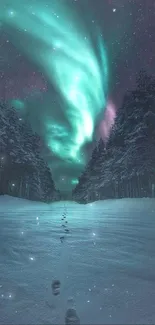 Northern Lights over a snowy forest path at night.