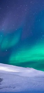 Aurora borealis over snowy landscape under starry night sky.