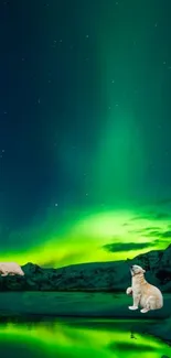 Cats enjoying the vivid green aurora borealis under a serene night sky.