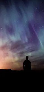 Silhouette against a vibrant aurora night sky with stars.