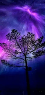 Purple aurora lights illuminate the night sky with a tree silhouette in the foreground.