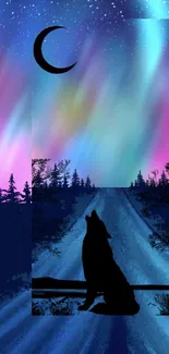 Silhouetted wolf under the aurora night sky.