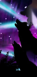 Silhouette of wolves against a colorful aurora borealis sky.