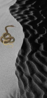 Snake coiled on textured desert sand with ripples.