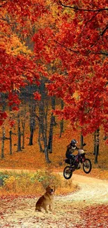 Motorbike and dog in vibrant autumn forest.