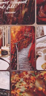 Autumn aesthetic collage with books, nature, and warm tones.