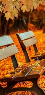 Autumn leaves and bench in a serene park setting.