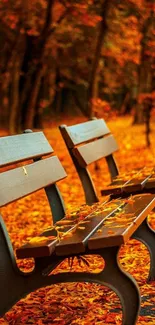 Autumn park bench covered with vibrant fall leaves.