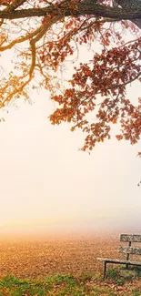 Serene autumn scene with bench under tree.