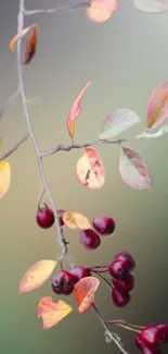 Autumn-themed wallpaper with berries and leaves.