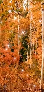 Enchanted autumn birch forest with sparkling lights.