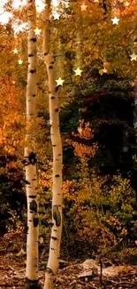 Autumn forest mobile wallpaper with birch trees and glowing stars.