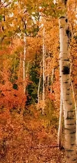 Birch trees in an autumn forest with golden leaves and serene atmosphere.