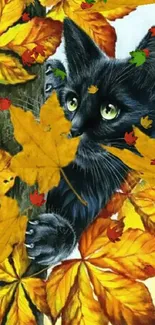 Black cat behind golden autumn leaves.