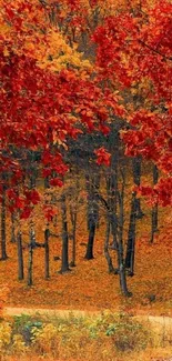 Scenic autumn forest with vibrant red leaves.