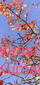 Vibrant autumn branches with red leaves on a clear blue sky background.