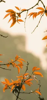 Mobile wallpaper featuring orange leaves on autumn branches against a blurred background.