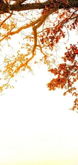 Autumn branches against a warm brown background.