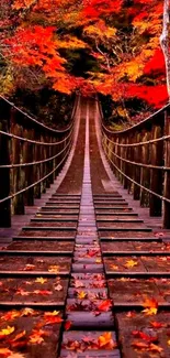 Autumn bridge wallpaper with red and orange leaves and wooden path.