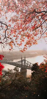 Autumn foliage frames a bridge over a tranquil river with vibrant red leaves.