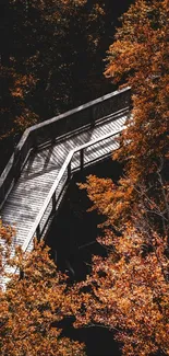 A wooden bridge surrounded by vibrant autumn leaves.