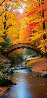 Autumn forest bridge over tranquil river scene wallpaper.