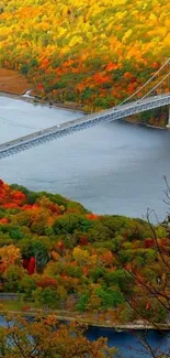 Scenic view of a bridge amid vibrant autumn foliage.