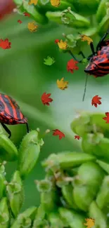 Red and black bugs on green leaves with autumn accents.