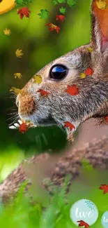 Cute rabbit in autumn leaves background wallpaper.