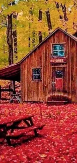 Rustic cabin surrounded by autumn leaves and vibrant forest.