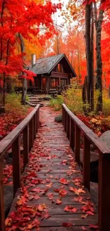 Woodland cabin surrounded by autumn leaves.