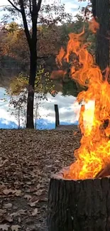 Campfire beside a lake with autumn leaves.