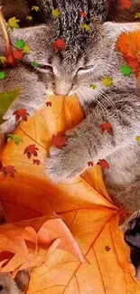 Kitten nestled in vibrant autumn leaves for mobile wallpaper.