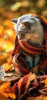 Cozy cat in scarf with mouse amidst autumn leaves.